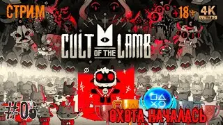 [06] Охота за трофеями. Cult Of The Lamb. [PS5] [4K]. Стрим.