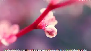 Elementary Os Freya   Trash Icon On Plank