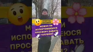 🌸 Почемучка с батюшкой 