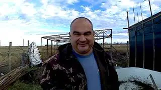 Здание под рыбник