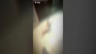 Бамбуль 