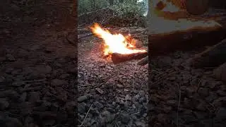 Ранок після шторма! Восьмий день. 8/10