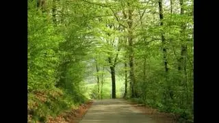 Roads That Lead Home