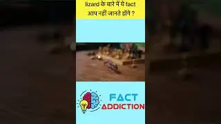 LIZARD FACT YOU DIDN'T KNOW