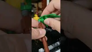 How to build a palm tree 🌴 #lego #legomoc #legotutorials