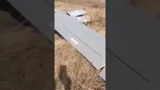 лапоть с болот наткнулся на беспилотник и протрезвел