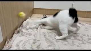 Chaemie playing with a ball