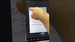 How to Reinstall Software on a Tesla Model S 