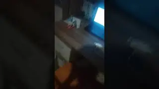 Ссылка на мой вк.