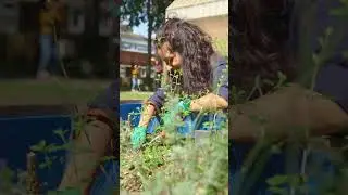 Sustainably Muslim: Plant ID walk reel