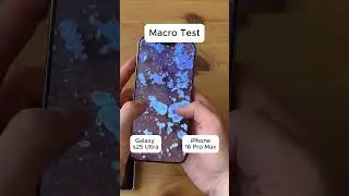 S25 Ultra vs iPhone 16 Pro Max Macro Test 🔍 Insane Detail! 