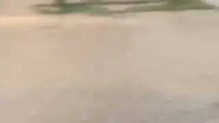 Сунги янгиликлар
