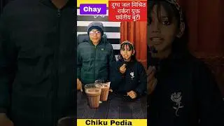 Hindi Name of Common things| Cricket ka Hindi Name #fun #shorts #youtubeshorts #trending #viral #yt