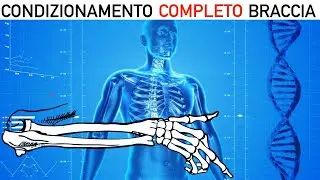 CONDIZIONAMENTO COMPLETO BRACCIA - Esercizi in casa e senza attrezzi!