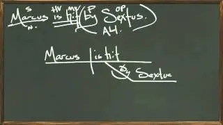 Who hit Marcus?