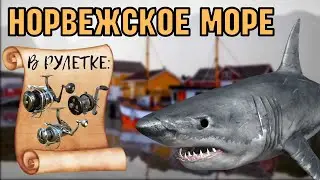 🔴 СТРИМ РР4┃🎁 ГОЛИАФ, ВЕНГА, РОКЕТ ДЖЕТ В РУЛЕТКЕ┃🔥 НОРВЕЖСКОЕ МОРЕ┃maXS1k