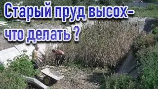 Старый пруд высох - что делать ?