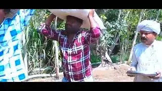 ભોળા દાદા કે ગુજરાતી😂😂😂 કોમેડી વિડિયો દાબેલી ખાને વાલે વિડિયો Pan Singh gondia 447