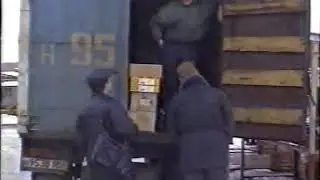 Голая правда 1996