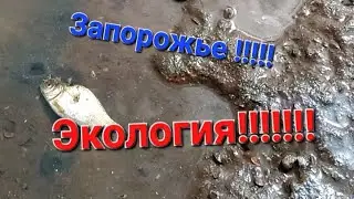 Запорожье ЭКОЛОГИЯ В Опасности!!!!Автопляж стоит запах нефтепродуктов!!!!#вырва #днепр #экология