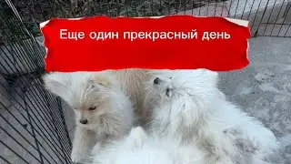 ЕЩЕ ОДИН ПРЕКРАСНЫЙ ДЕНЬ