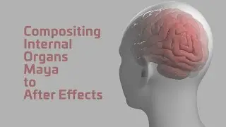 Compositing Internal Organs: from Maya to After Effects
