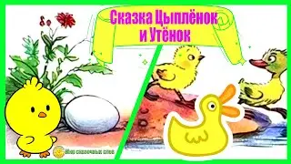 Сказка Цыплёнок и Утёнок