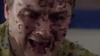 OH NO ANTS