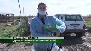 Гос мониторинг. Отбор проб крови на ящур
