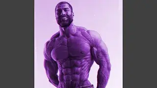 PHONK PHYSIQUE (SLOWED + REVERB)
