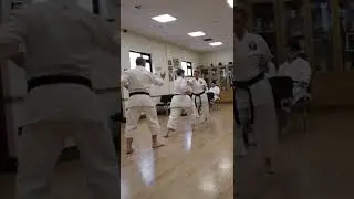 Matsubayashi Ryu - Fukyugata Ni Bunkai