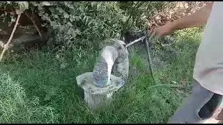 вадапровот ишлайди энди