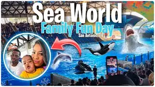 SEA WORLD VLOG