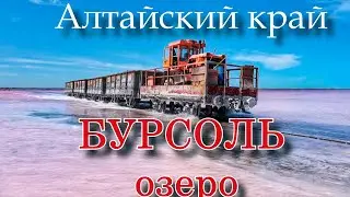 Озеро Бурсоль, озеро Бурлинское в Алтайском крае..