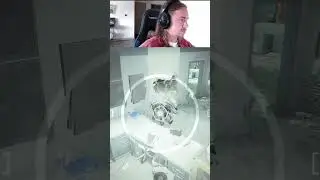 How To Play Echo