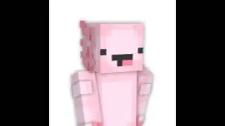 Minecraft Loufer SMP