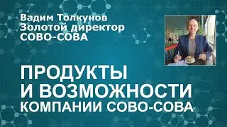 О НОВОЙ КОМПАНИИ СОВО-СОВА П. А. Солдатенкова. О компании и перспективах, о продуктах Ответы на вопр