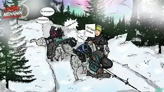 Зимние Виды Спорта - Хаски
