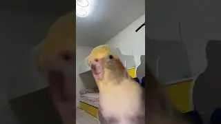 Кешик блин 💗