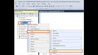 how to create  backup drop recovery database  in SQL