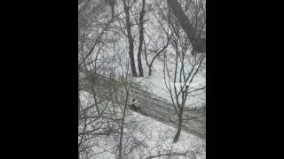 маскировка как у Хищника!
