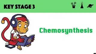 Chemosynthesis