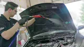 Technician's Choice® Quick & Easy Engine Bay Cleaning & Dressing