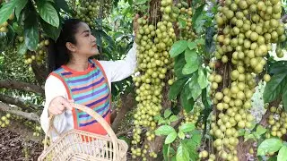 Expecting mum pick green burmese grape fruit and cooking - Cooking with Sreypov
