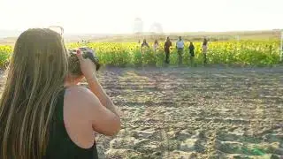 Sunflower Photoshoot #floridaphotographer #sunflowerphotoshoot #sunflowerfield