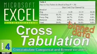 CROSSTABULATION of a Categorical and Binned Variable in Excel (WK4b)