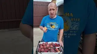 Самогон из персика