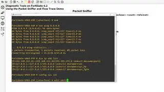 Using Packet Sniffer and Flow Trace to Troubleshoot Traffic on FortiGate 6.2