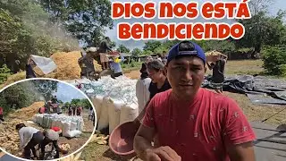 Nano Está Feliz🥰Por Todo El Maíz Que Está Sacando De La Milpa🙏