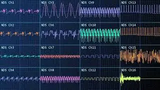 Polyrithmic Mind (NDS)